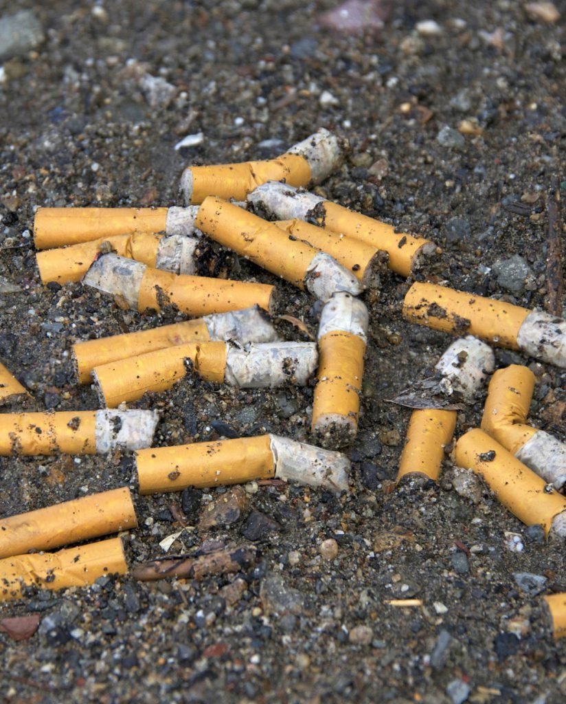 cigs-824x1024-1.jpg